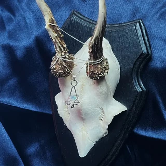 Collier avec pendentif opale et monture en argent présenté sur un crâne trophée et drapé bleu nuit